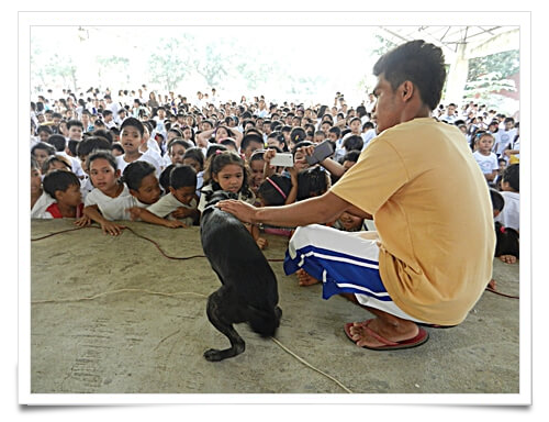 Informationen über streunende Tiere für eine komplette Schule <br /> von einem Freiwilligen von AARRC. Sehr wichtig!