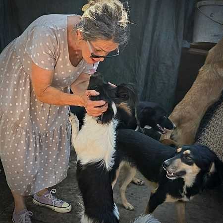 Gabriëla met een paar honden